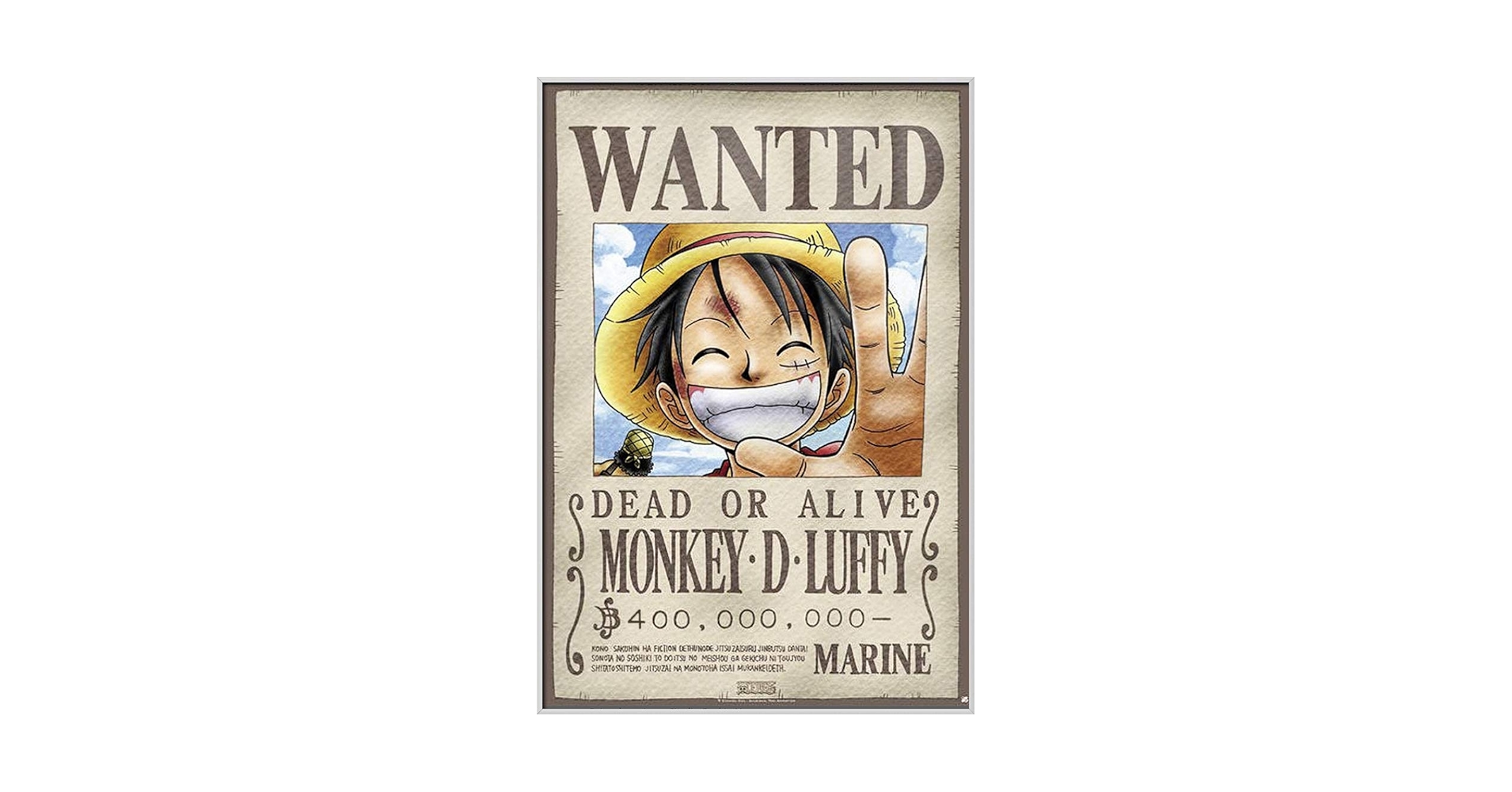 アニメワンピース額縁 713DlMLbZqL._UF350,350_QL50_.jpg